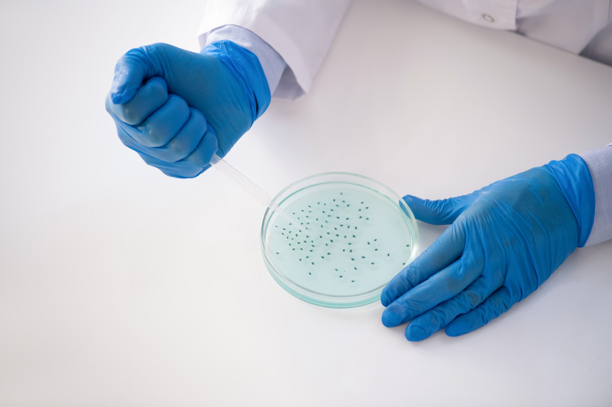 Doing microbiological research